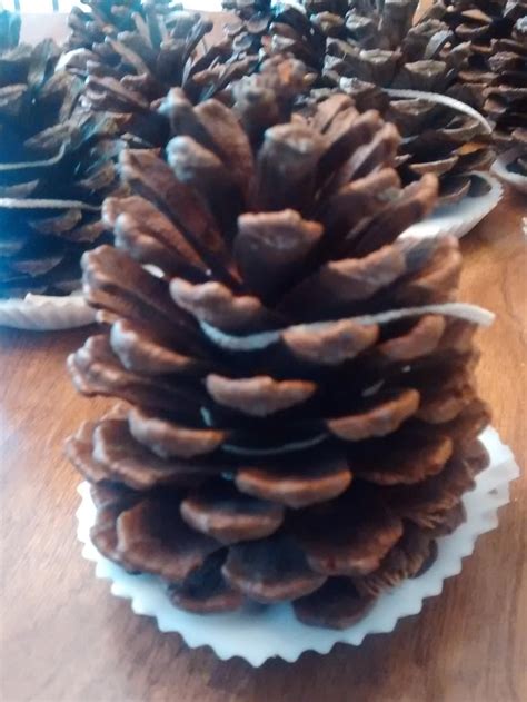Pinecone Firestarter (30) Guest Favors - Great for Rustic Country