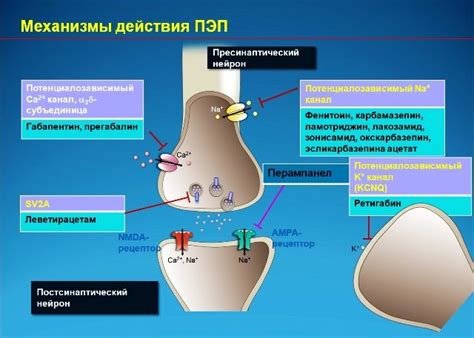 Алпразолам: инструкция по применению, отзывы, МНН и аналоги