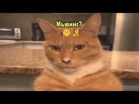 Мьюинг с сюрпризом? 🤫🧏 - YouTube
