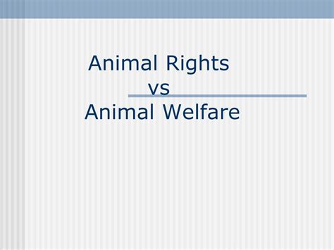 animal rights vs animal welfare 5