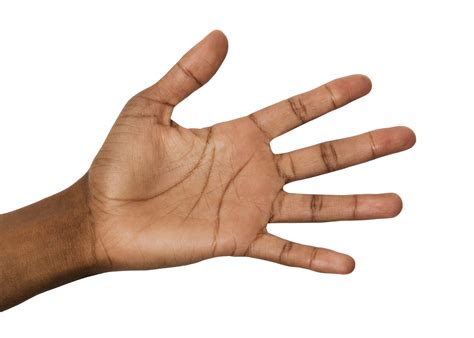 hand