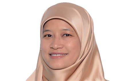 kedah pkr sanusis finance council conspiracy  feasible