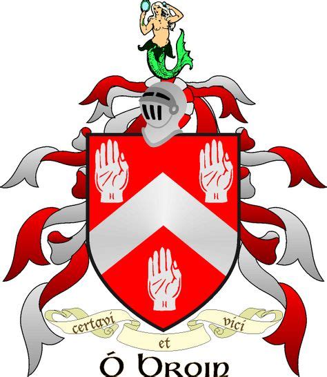 popular irish surnames  origin  coat  arms coat  arms