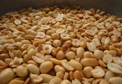 love  bangladesh peanut  cheena badam  popular outdoor