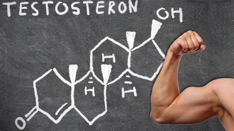 Testosteron