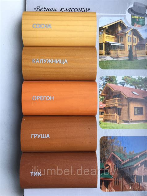 Цвет калужница фото домов (76 фото) » НА ДАЧЕ ФОТО