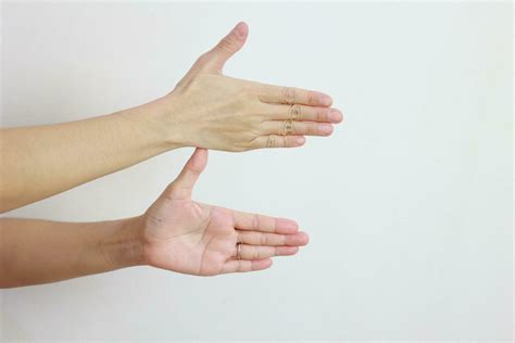 hand  white background  stock photo  vecteezy