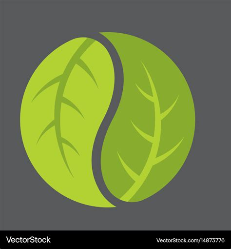 Leaf yin yang logo Royalty Free Vector Image - VectorStock