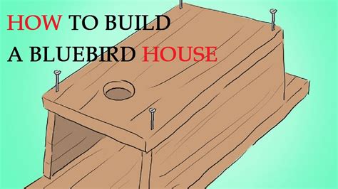 How High Should A Bluebird House Be Placed at Angie Martone blog
