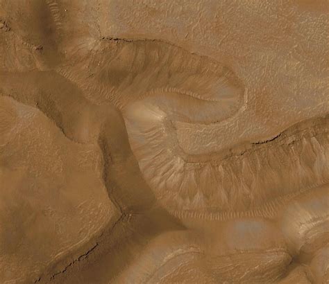 evidence   liquid water  mars gullies  gorgonum chaos