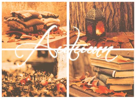 autumn gif collage pictures   images  facebook tumblr
