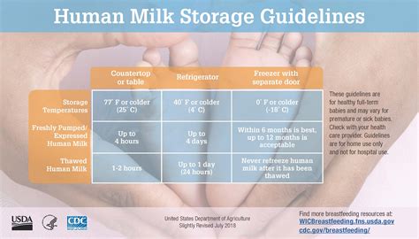Human Milk Storage Guidelines | WIC Works Resource System