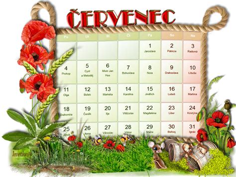 kvetka11: Kalendář Červenec