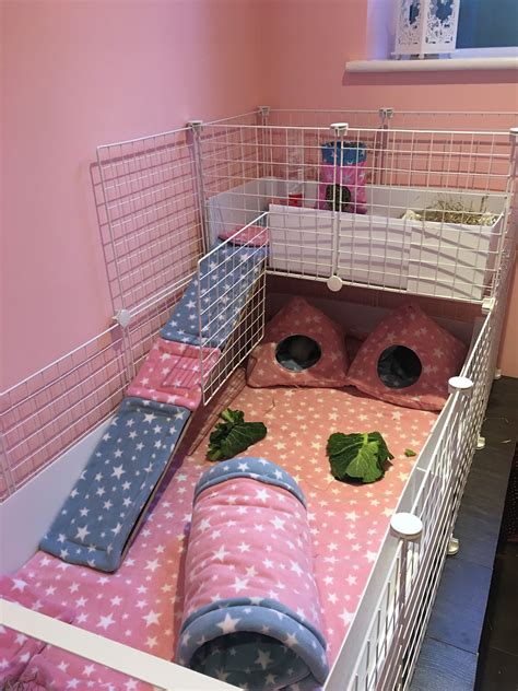 Guinea Pig Habitat Amazing Guinea Pig Cages - Nasdaq