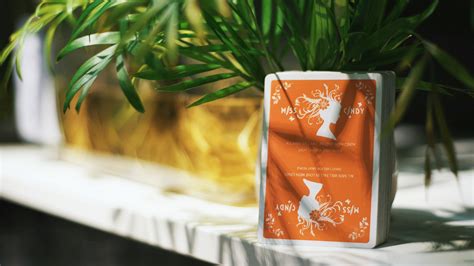 Miss Cindy | BOMBMAGIC