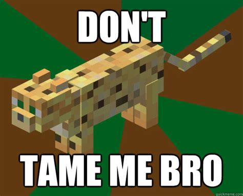 Minecraft Ocelot memes | quickmeme