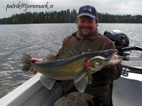Sports Fishing Journalist and Photographer Sports fishing Sweden ...