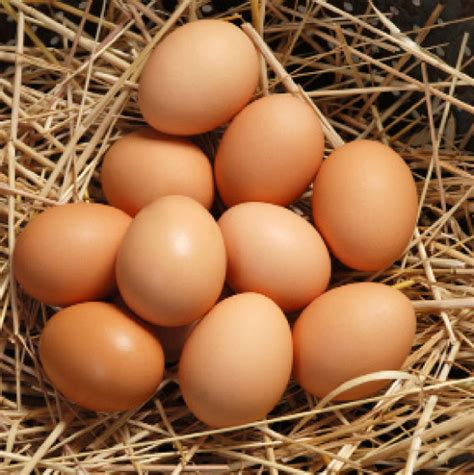 Health Benefits of Eggs: The Superfood We Adore