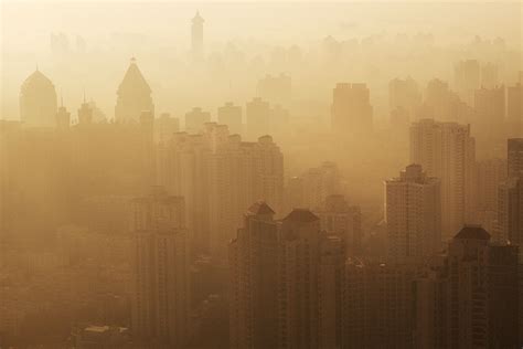 “Smog-Eating” Technologies That Clear Up Your Day – Sustainability