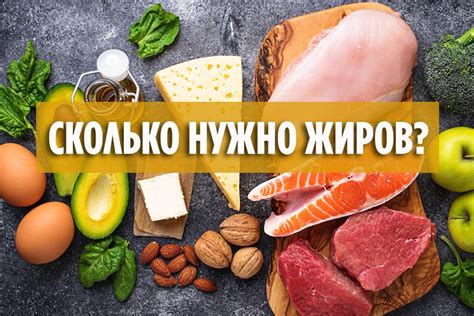 Сколько жиров нужно в день. Только факты.