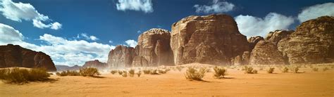 Genetic study reveals ancient human adaptation to agriculture and ...
