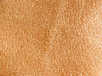 learn fascinating facts  skin farah dermatology