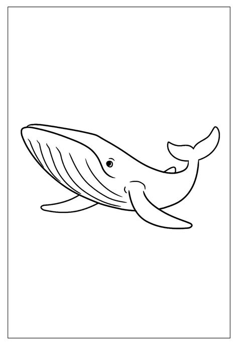 Desenhos de Baleia para Colorir e Imprimir - Tudo Para Colorir