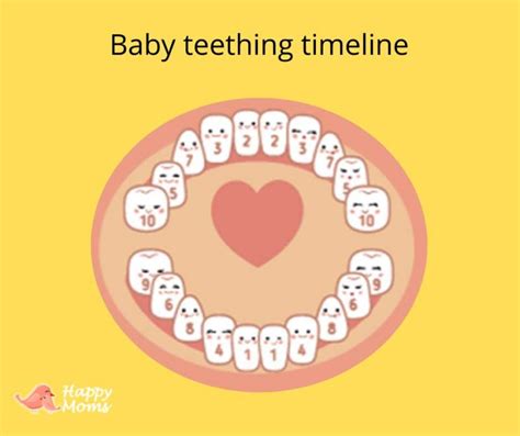 Teething in Babies: Symptoms, Remedies & Timeline – Happy Moms