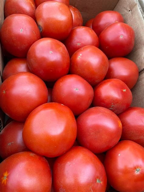 Community members praise the Shinns funeral service Russellville staff 4