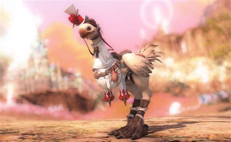 The Paramour | Eorzea Collection