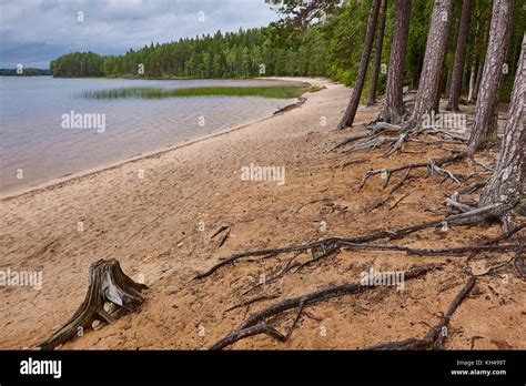 Helvetinjärvi national park High Resolution Stock Photography and