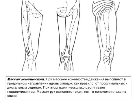 Техника и последовательность выполнения приемов плоскостного массажа ...