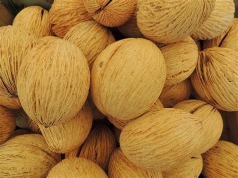 nuts  seeds