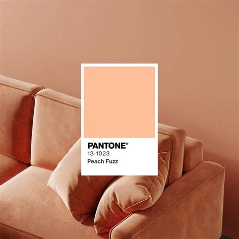 Институт цвета Pantone объявил главный цвет 2024 года – персиковый пух