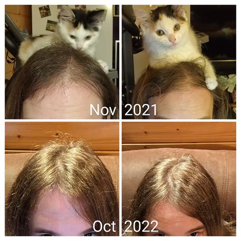 Just a hair timeline, please ignore the kitten (or don't, of course