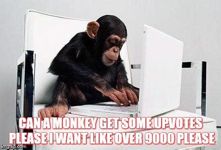 monkey computer Memes & GIFs - Imgflip