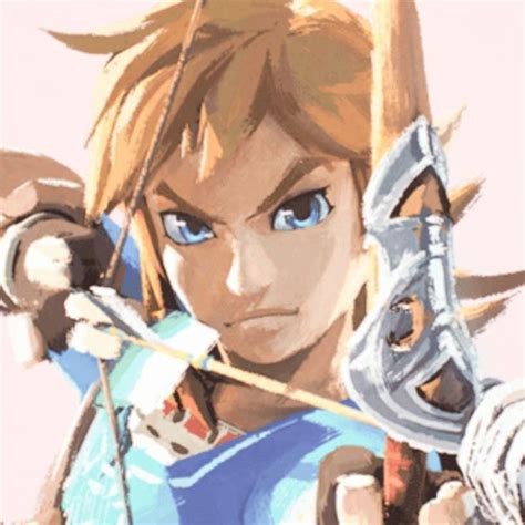 botw link icon legend  zelda zelda legend