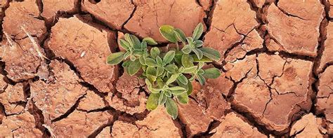 planet  future global citizen forum