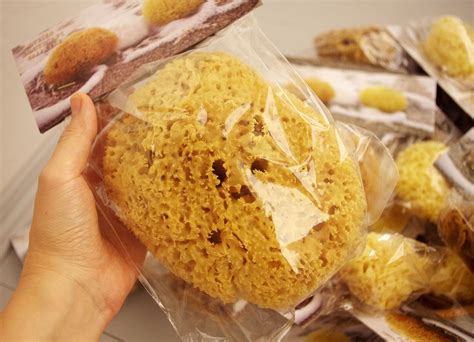 Морська губка Honeycomb для тіла, натуральна, 6-6,5 дюйма, Греція ...