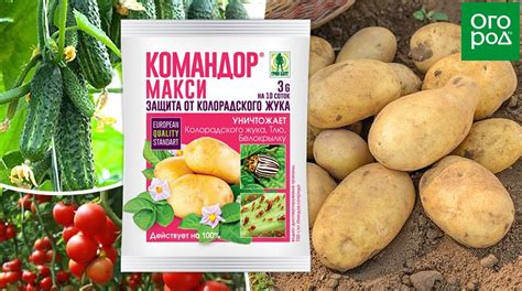 Командор Макси – инструкция по применению, действие инсектицида. Меры ...