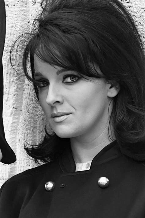 Lisa Gastoni biographie, news, photos et vidéos