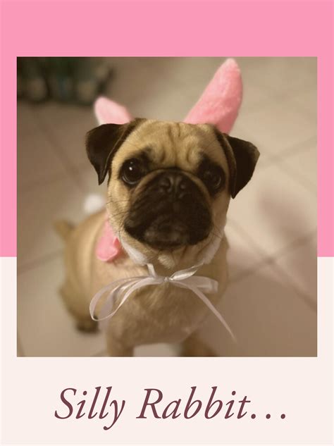 Cellary Newsletters - An Egg Hunt, A Discount, A Game, & A Favorite