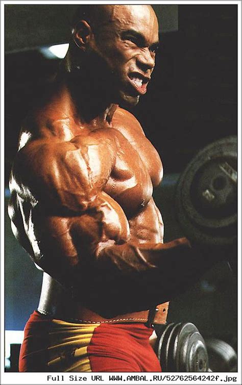 Кевин Леврон (Kevin Levrone), фотографии, биография, соревнования ...