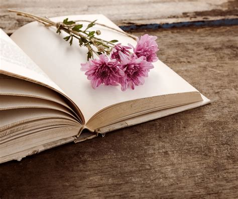 reclaimed reclaimed story