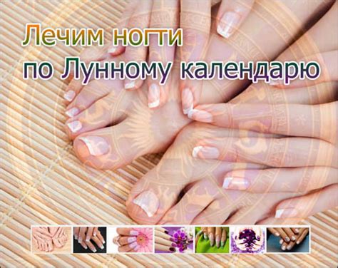 Лечим ногти по Лунному календарю — 3mu.ru