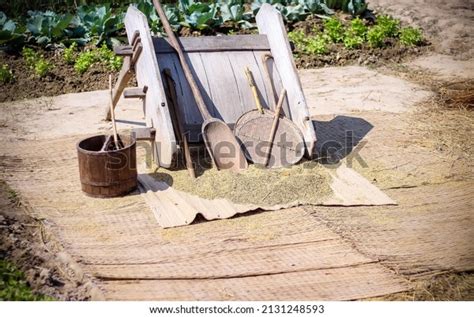 threshing wheat  hand images stock   objects vectors