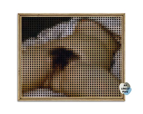 Altered Origin of the World Painting – Sexy Art Humor – Naked Girl Legs