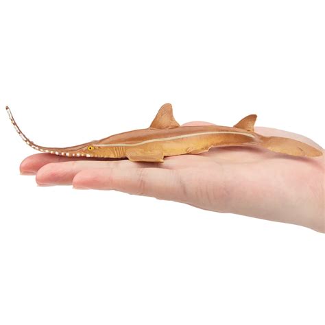Saw Shark