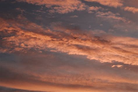 Clouds in Sky in Evening · Free Stock Photo