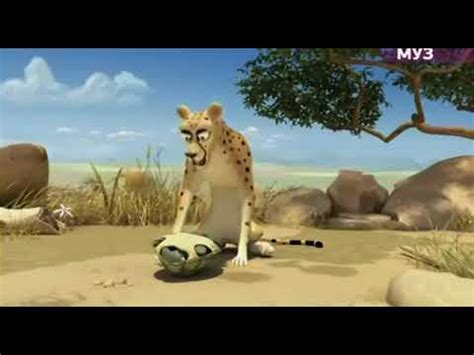 Короткий смешной мультик про льва 1.2 Лев и Гепард - YouTube